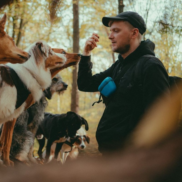 Portrait mit dem Rudel im Wald